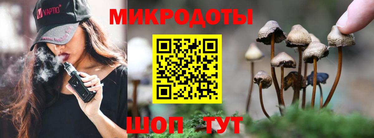 Галлюциногенные грибы Cubensis Ухта